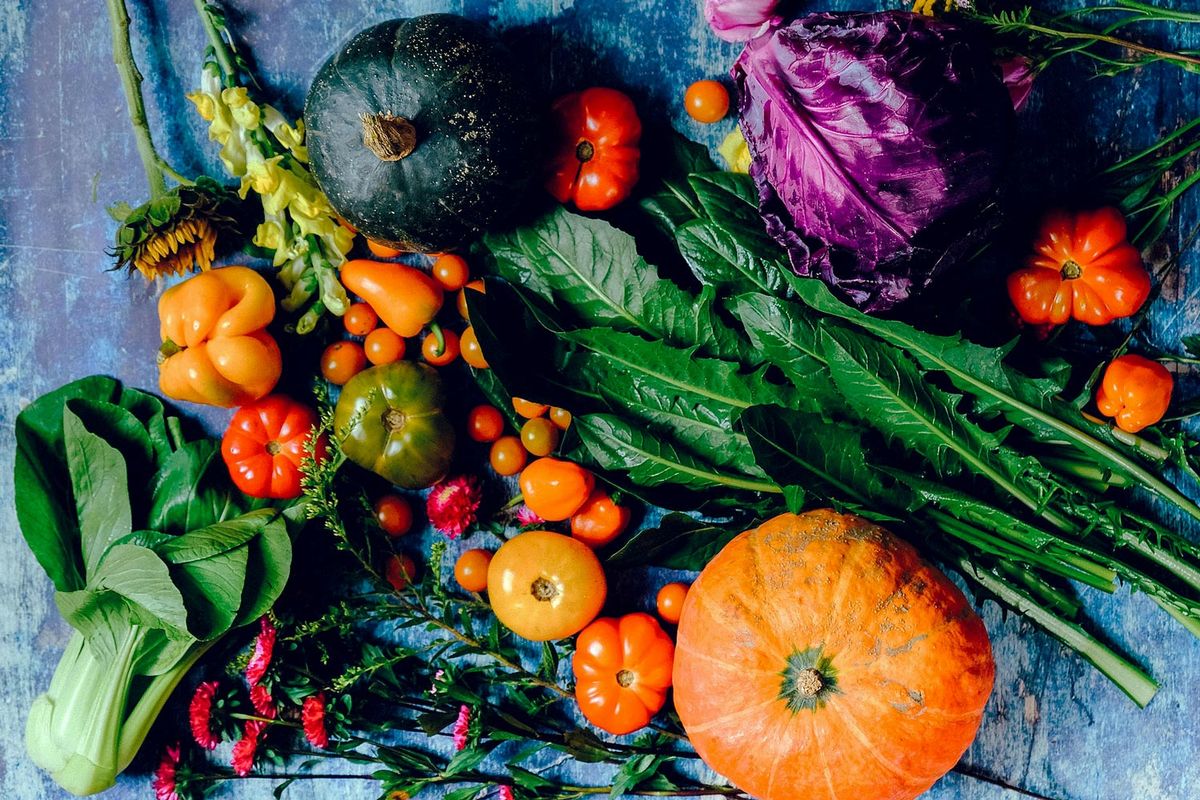 Le passeport vers une alimentation équilibrée : comment cultiver vos propres légumes